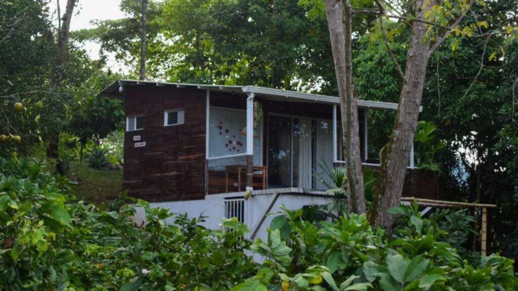 Diseño sin título (13)